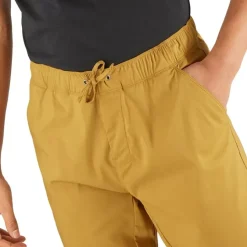 Clothing^Salomon Outlet – Explore Tapered Pant – Men'S Bronze Brown