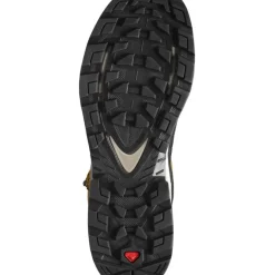 Footwear^Salomon Outlet – Quest Element Gtx Hiking Boot – Men'S Black/Deep Lichen Green/Olive Night|Chocolate Plum/Madder Brown/Goji Berry|Cumin/Bleached Sand/Saffron