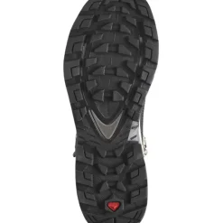 Footwear^Salomon Outlet – Quest Element Gtx Hiking Boot – Women'S Ebony/Rainy Day/Stormy Weather|Safari/Vanilla Ice/Mecca Orange