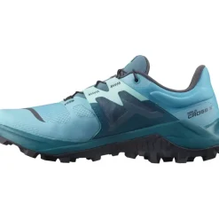 Footwear^Salomon Outlet – Wildcross 2 Trail Running Shoe – Women'S Delphinium Blue/Mallard Blue/Yucca|India Ink/Quiet Shade/Royal Lilac