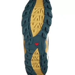 Footwear^Salomon Outlet – Xa Pro 1 Mid Gtx Shoe – Men'S Chocolate Fondant/Arrowwood/Black